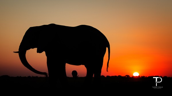 Sunset in Botswana by Thierry Prieur Photographie